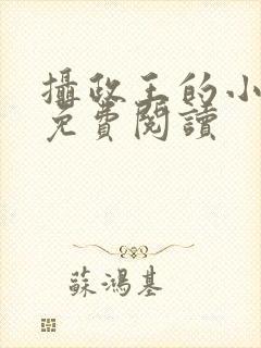 摄政王的小娇妃免费阅读封面