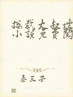 总裁大叔坏坏爱小说免费阅读