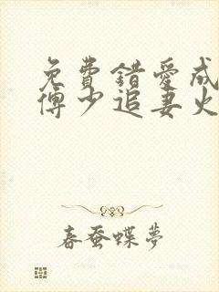 免费错爱成瘾:傅少追妻火葬场小说