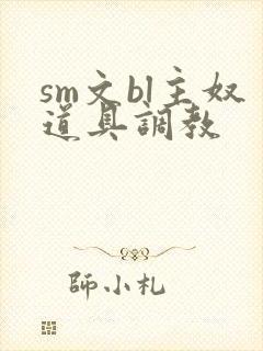 sm文bl主奴道具调教