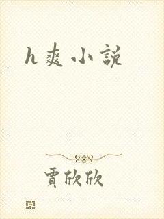 h爽小说