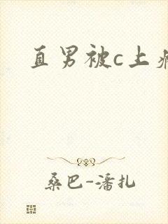 直男被c上瘾封面