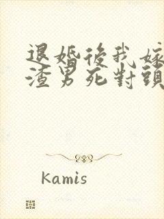 退婚后我嫁给了渣男死对头