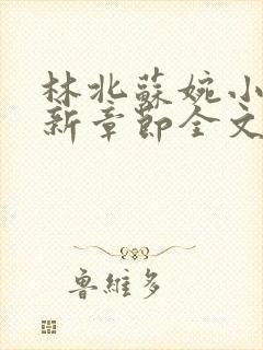 林北苏婉小说最新章节全文阅读