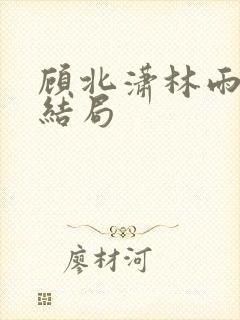 顾北潇林雨菲大结局封面
