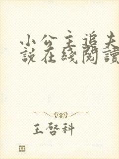 小公主追夫记小说在线阅读