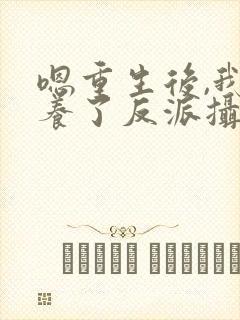 嗯重生后,我娇养了反派摄政王封面