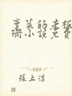 卖菜的老板李芷珊小说免费阅读