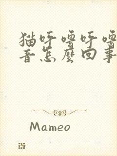 猫呼噜呼噜的声音怎么回事