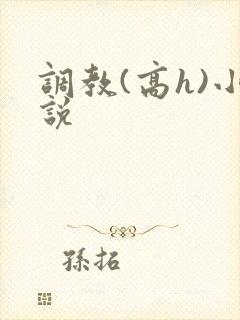 调教(高h)小说