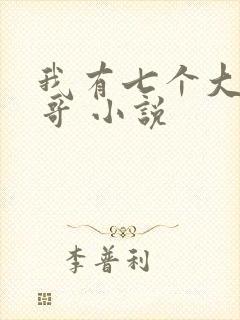 我有七个大佬哥哥 小说封面