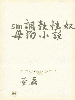 sm调教性奴隶母狗小说封面
