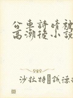 公车诗晴被弄到高潮后小说