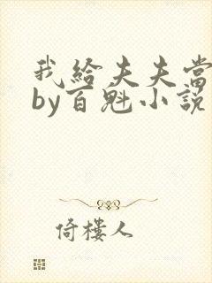 我给夫夫当老婆by百魁小说在线阅读全