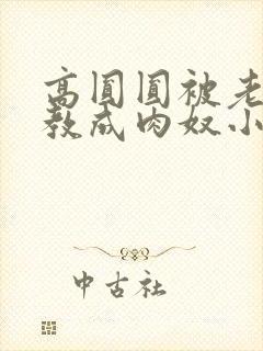 高圆圆被老头调教成肉奴小说最新章