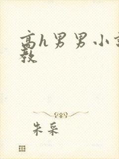 高h男男小说调教