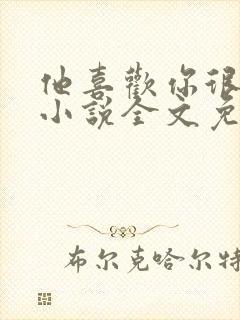 他喜欢你很久了小说全文免费阅读封面