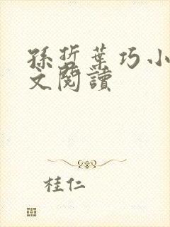 孙哲叶巧小说全文阅读封面