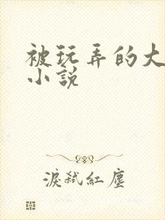 被玩弄的大小姐小说