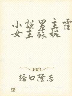 小说男主霍枭寒女主苏婉