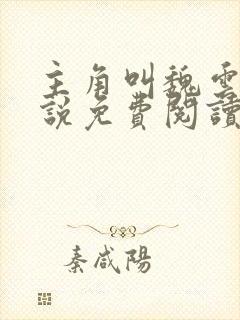 主角叫魏云的小说免费阅读封面