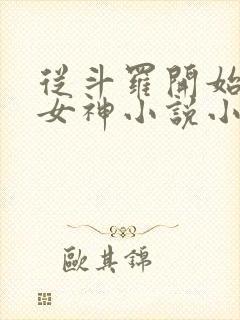 从斗罗开始俘获女神小说小说封面