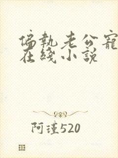 偏执老公宠上天在线小说