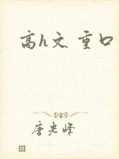 高h文 重口封面