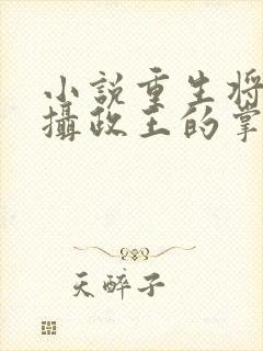 小说重生将女:摄政王的掌心娇封面