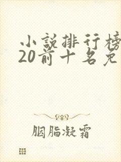 小说排行榜2020前十名免费完结封面