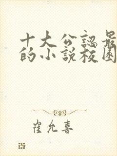 十大公认最好看的小说校园