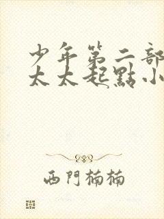 少年第二部房东太太起点小说封面