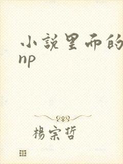 小说里面的高hnp