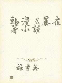 韩漫《暴夜》原著小说封面