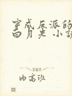 穿成反派的短命白月光 小说封面