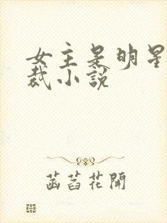 女主是明星的总裁小说