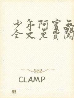 少年阿宾无删减全文免费阅读笔趣阁封面