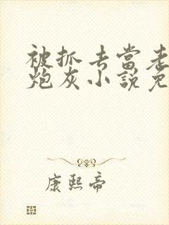 被抓去当老婆的炮灰小说免费阅读