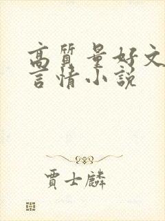 高质量好文笔的言情小说封面