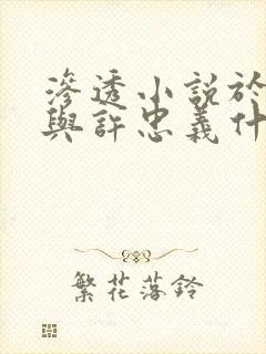 渗透小说于秀凝与许忠义什么关系