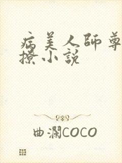 病美人师尊超会撩小说封面