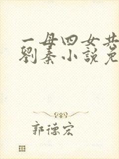 一母四女共一婿刘秦小说免费阅读
