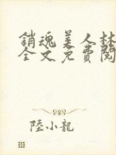 销魂美人林婷婉全文免费阅读小说