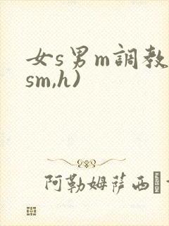 女s男m调教(sm,h)