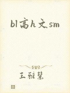 bl高h文sm封面