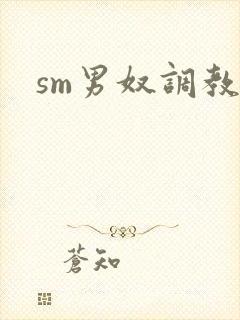 sm男奴调教文封面