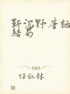 靳沉野唐栖雾大结局