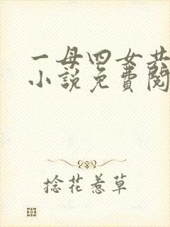 一母四女共一婿小说免费阅读我的好封面