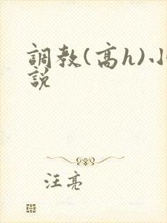 调教(高h)小说