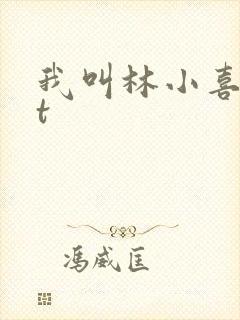 我叫林小喜txt